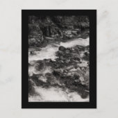 Fluss Ohanapecoshs, WA Postkarte (Vorderseite)