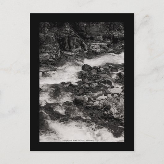 Fluss Ohanapecoshs, WA Postkarte (Vorderseite)