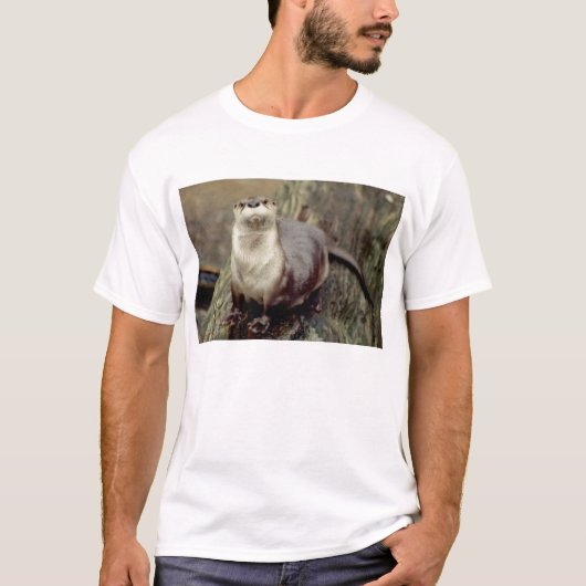 Fluss-Otter-Aufstellung T-Shirt (Vorderseite)