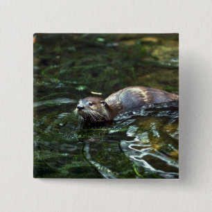 Fluss-Otter Button