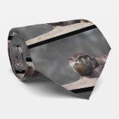 Fluss-Otter Krawatte (Gerollt)