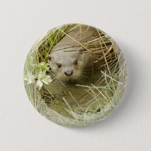 Fluss-Otter-Lebensraum-Knopf Button (Vorderseite)