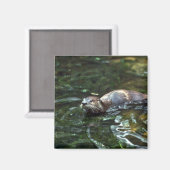 Fluss Otter Magnet (Vorderseite/Rückseite)