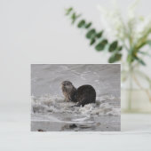 Fluss Otter Postkarte (Stehend Vorderseite)