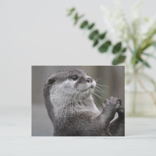 Fluss Otter Postkarte (Stehend Vorderseite)