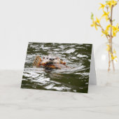 Fluss Otter und Fische Karte (Gelbe Blume)