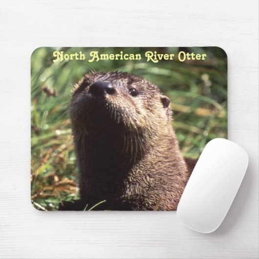 Fluss Otter Up Nahe und persönliche Mousepad (Mit Mouse)