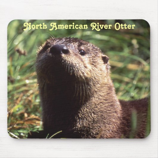Fluss Otter Up Nahe und persönliche Mousepad (Vorne)