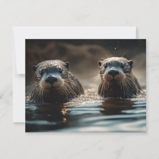 Fluss Otters (Vorderseite)