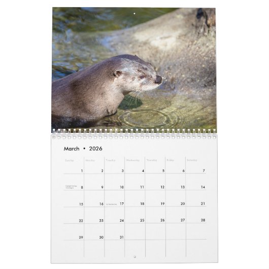 Fluss Otters 2026 Kalender (Mär 2026)