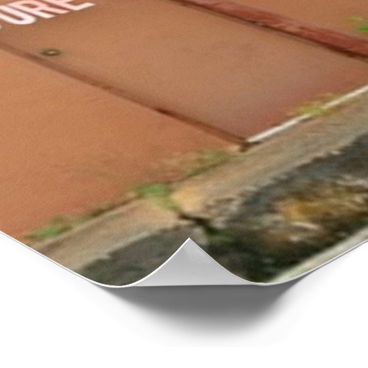 Fluss Phoenix Orange Ästhetik Poster (Ecke)