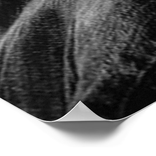 Fluss Phoenix Poster (Ecke)