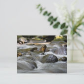 Fluss Postkarte (Stehend Vorderseite)