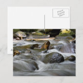 Fluss Postkarte (Vorne/Hinten)