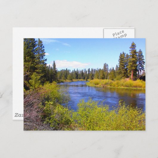 Fluss Postkarte (Vorne/Hinten)