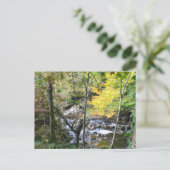 fluss postkarte (Stehend Vorderseite)
