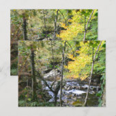fluss postkarte (Vorne/Hinten)