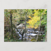 fluss postkarte (Rückseite)