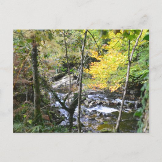 fluss postkarte (Vorderseite)