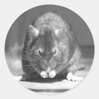 Fluss Runder Aufkleber