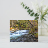 FLUSS SACRAMENTO POSTKARTE (Stehend Vorderseite)