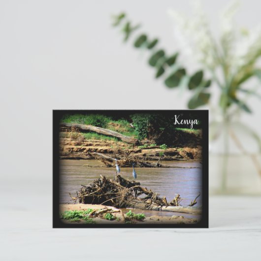 Fluss Samburu Postkarte (Stehend Vorderseite)