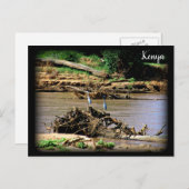 Fluss Samburu Postkarte (Vorne/Hinten)