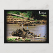 Fluss Samburu Postkarte (Vorderseite)