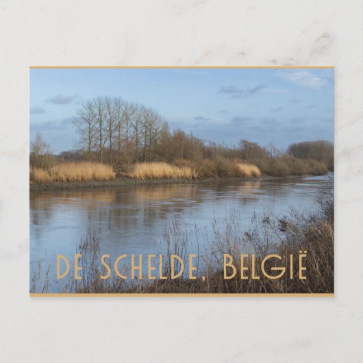 Fluss Scheldt View, Dendermonde, Belgien Postkarte (Vorderseite)