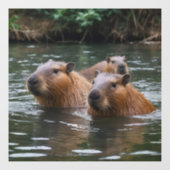"Fluss Serenity: Capybaras schwimmen im Fluss" Fensteraufkleber (Blatt)