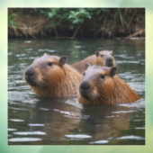 "Fluss Serenity: Capybaras schwimmen im Fluss" Fensteraufkleber (Blatt 3)