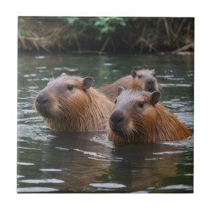 "Fluss Serenity: Capybaras schwimmen im Fluss" Fliese