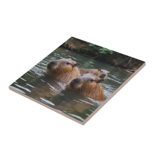 "Fluss Serenity: Capybaras schwimmen im Fluss" Fliese (Seite)