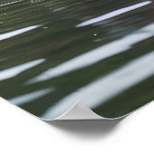 "Fluss Serenity: Capybaras schwimmen im Fluss" Poster (Ecke)