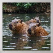"Fluss Serenity: Capybaras schwimmen im Fluss" Poster (Vorne)