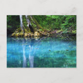 Fluss Silver Springs Postkarte (Vorderseite)