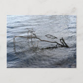 Fluss, Stillleben Postkarte (Vorderseite)