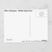 Fluss Stingray # 14 Postkarte (Rückseite)