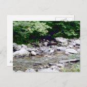 Fluss Stones Postkarte (Vorne/Hinten)