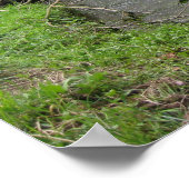 Fluss-Szenen-Plakat Poster (Ecke)