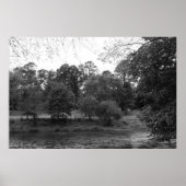 Fluss Taff im Bute Park, Cardiff - BW Poster (Vorne)