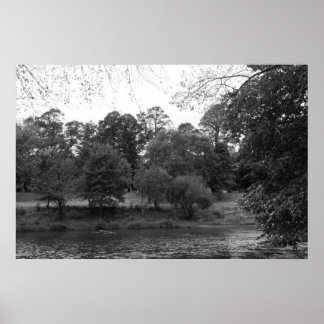 Fluss Taff im Bute Park, Cardiff - BW Poster