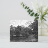 Fluss Taff im Bute Park, Cardiff - BW Postkarte (Stehend Vorderseite)