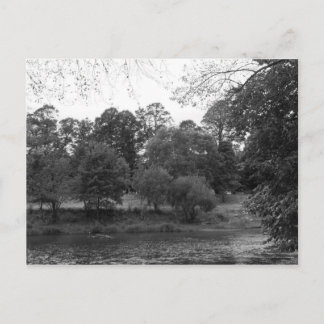 Fluss Taff im Bute Park, Cardiff - BW Postkarte