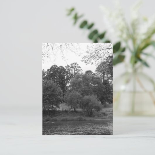 Fluss Taff im Bute Park, Cardiff - BW Postkarte (Stehend Vorderseite)