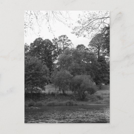 Fluss Taff im Bute Park, Cardiff - BW Postkarte (Vorderseite)