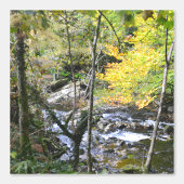 Fluss Tapete (Vorderseite)
