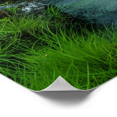 Fluss Tranquil Poster (Ecke)