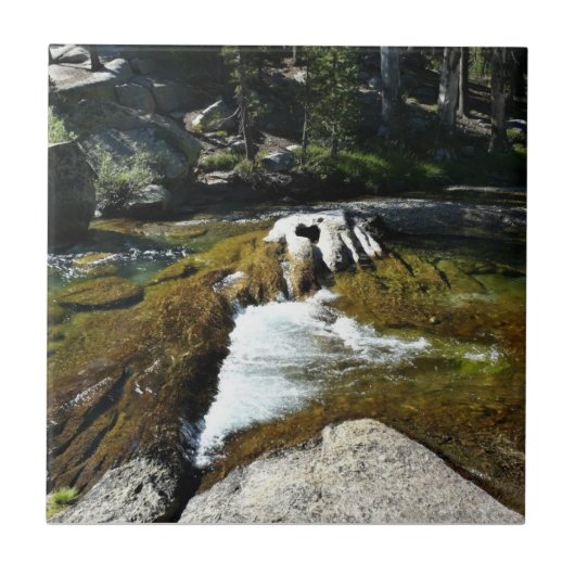 Fluss Tuolumne in Tuolumne Meadows, Yosemite, CA Fliese (Vorderseite)