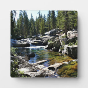 Fluss Tuolumne in Tuolumne Meadows, Yosemite, CA Fotoplatte